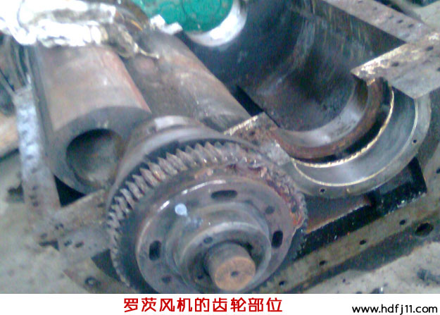 二葉绿巨人污免费下载風機拆裝