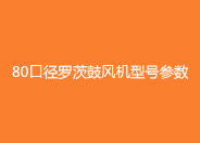 80口徑绿巨人污免费下载鼓風機參數.jpg