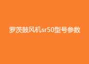 绿巨人污免费下载鼓風機sr50型號參數.jpg