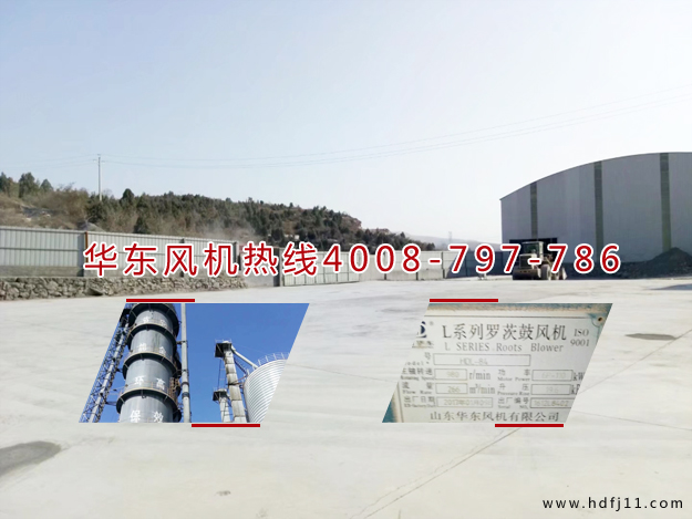 二葉绿巨人污免费下载風機