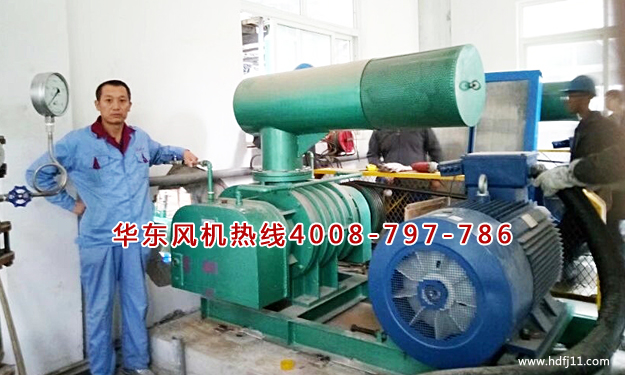 三葉绿巨人污免费下载風機