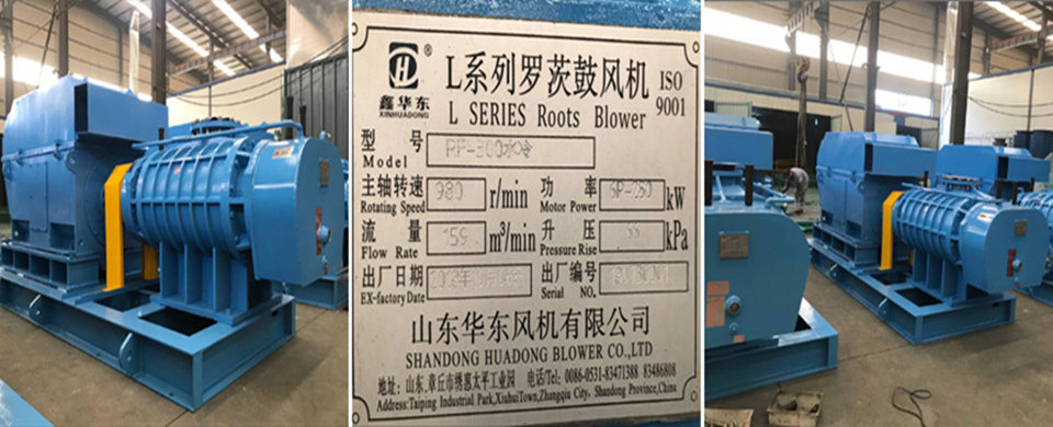 二葉绿巨人污免费下载風機