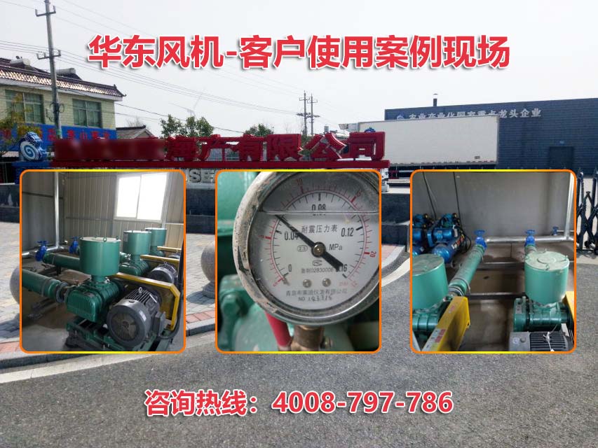 三葉绿巨人污免费下载風機