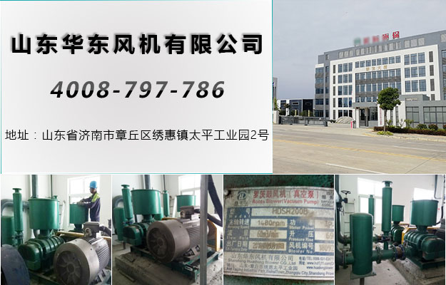 三葉绿巨人污免费下载風機